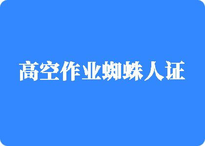 意大利操屄高空作业蜘蛛人证